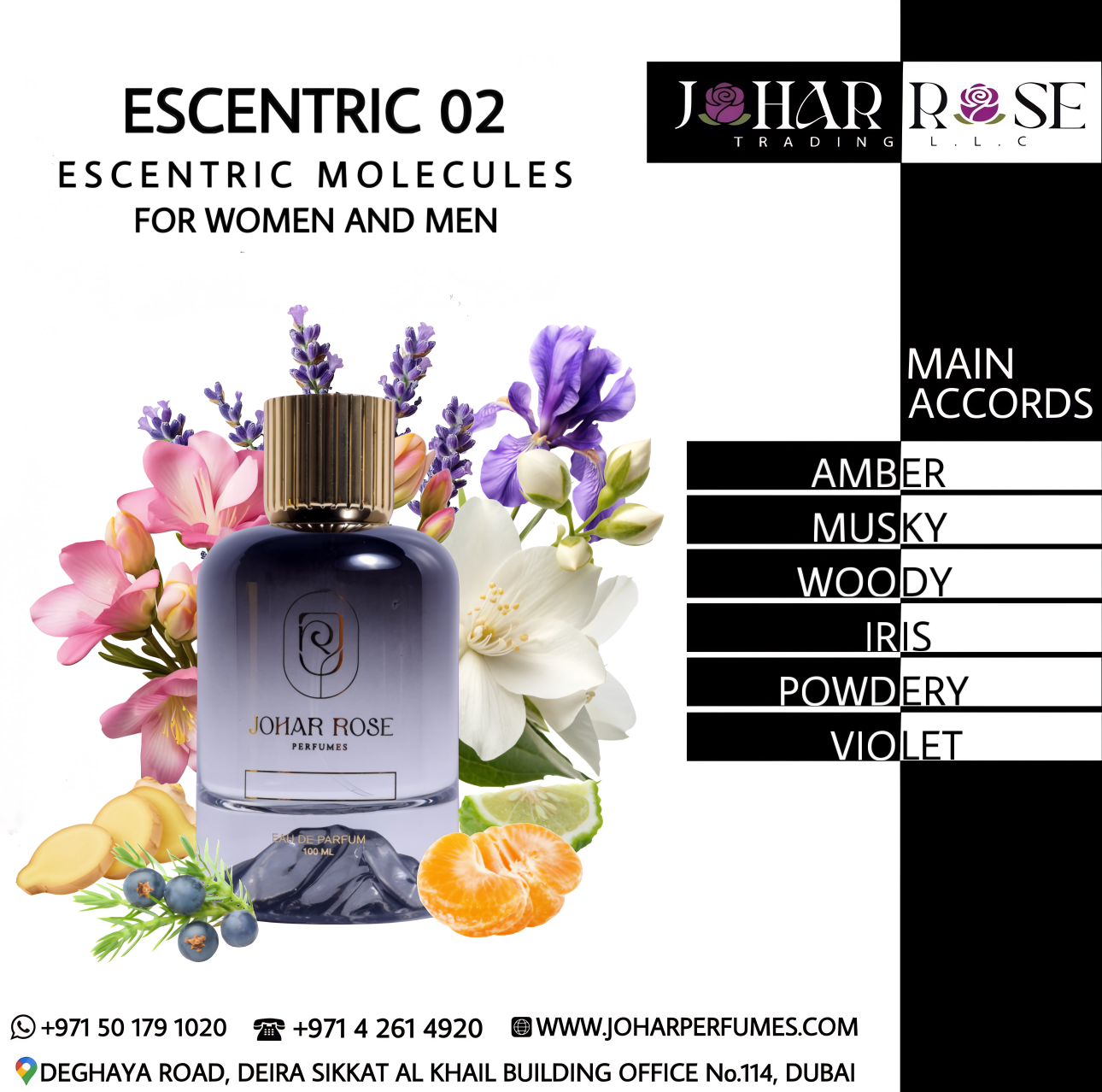 ESCENTRIC 02 ESCENTRIC MOLECULES