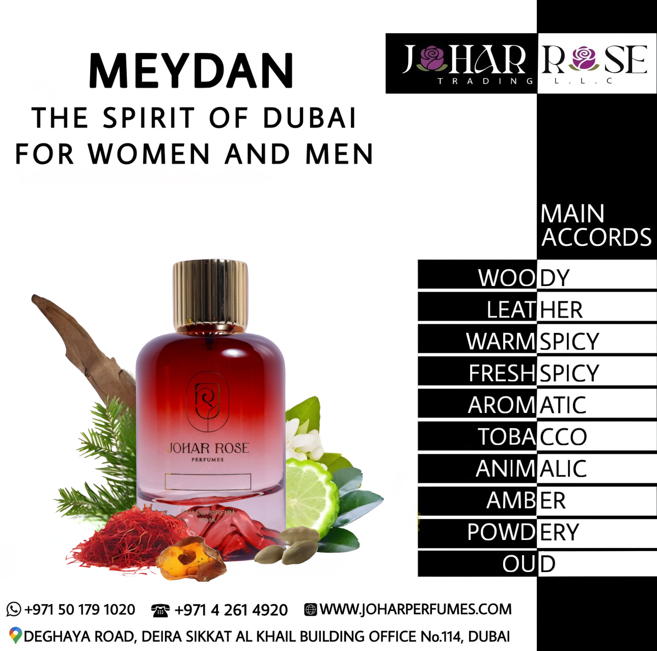 MEYDAN THE SPIRIT OF DUBAI