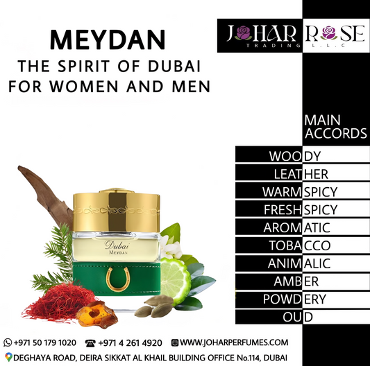 MEYDAN THE SPIRIT OF DUBAI