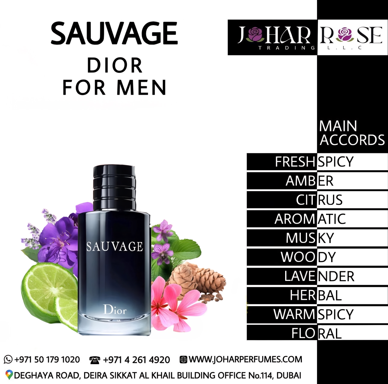 SAUVAGE DIOR