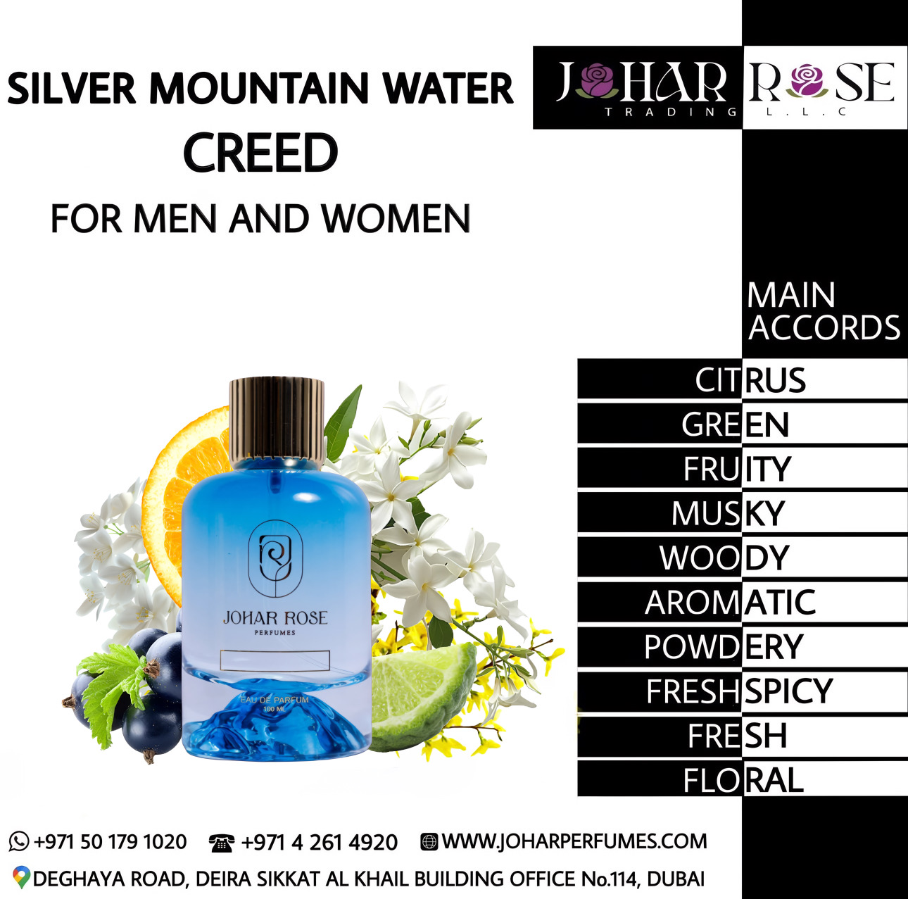 SILVER MOUNTAIN WATER